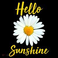 Cute Hello Sunshine Heart Daisy Flower Poster
