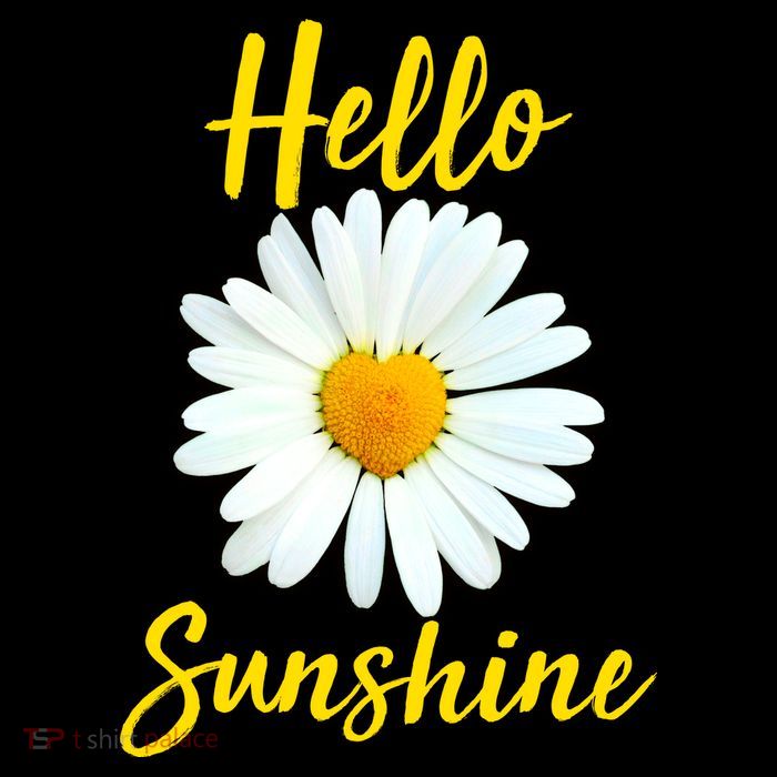 Cute Hello Sunshine Heart Daisy Flower Poster