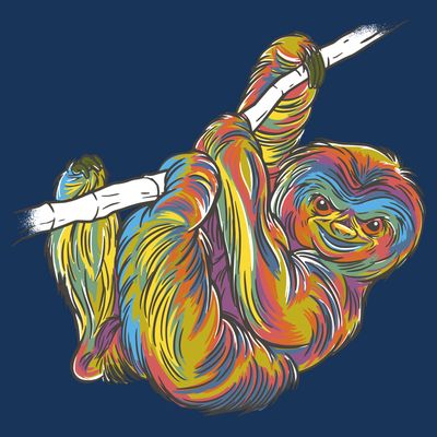 Colorful Hanging Sloth T-Shirt