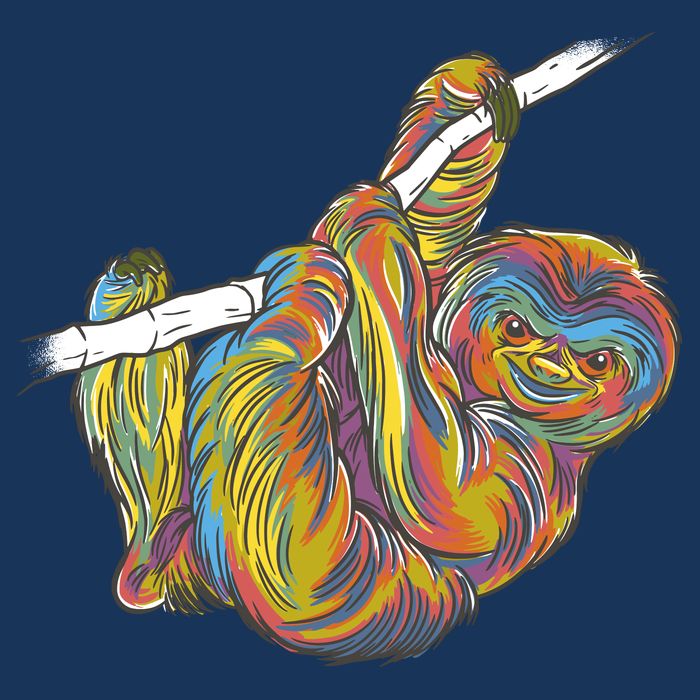 Colorful Hanging Sloth Tie-Dye T-Shirt