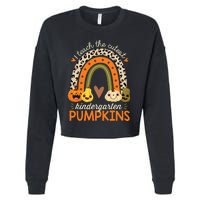 Cute Halloween Teacher Teaching Kindergarten Pumpkins Cropped Pullover Crew