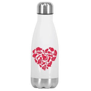 Cat Heart Valentines Day Funny Kitty Kitten Lovers Stainless Steel Insulated Water Bottle