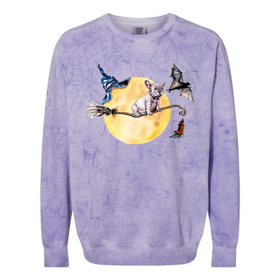 Cute Halloween Water Color Puppy On Witch Broom Colorblast Crewneck Sweatshirt