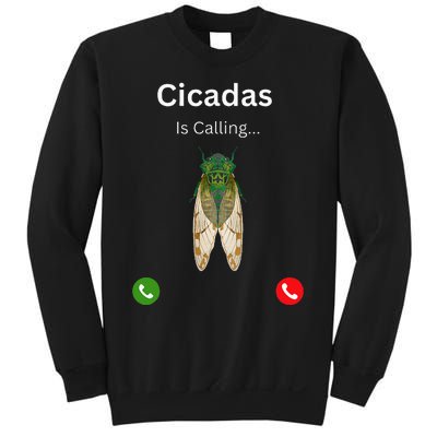 Cicadas Invasion 2024 Cicadas Is Caling Funny Cicada Sweatshirt