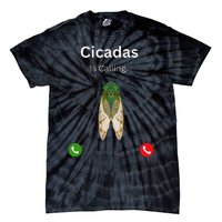 Cicadas Invasion 2024 Cicadas Is Caling Funny Cicada Tie-Dye T-Shirt