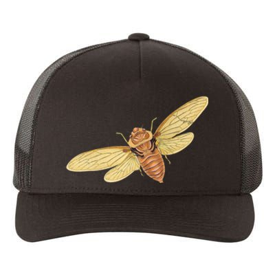 Cicada Insect 2024 Yupoong Adult 5-Panel Trucker Hat