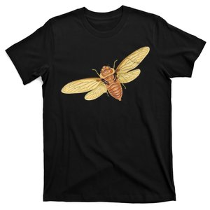 Cicada Insect 2024 T-Shirt