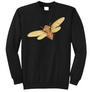 Cicada Insect 2024 Tall Sweatshirt