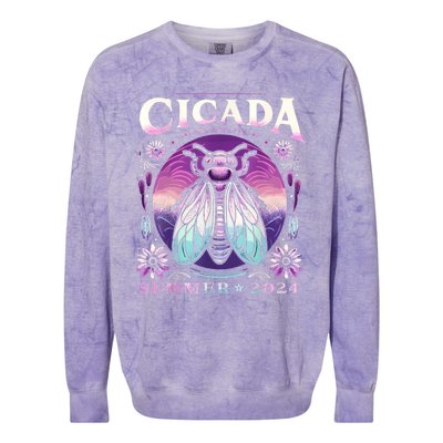 Cicada Invasion 2024 Broods Xix & Xiii Cicada Women Colorblast Crewneck Sweatshirt