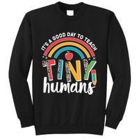 Cute It's A Good Day To Teach Tiny Humans Sweatshirt