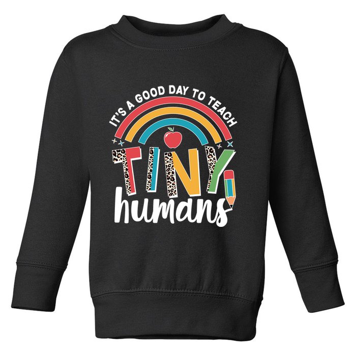 Cute It's A Good Day To Teach Tiny Humans Toddler Sweatshirt