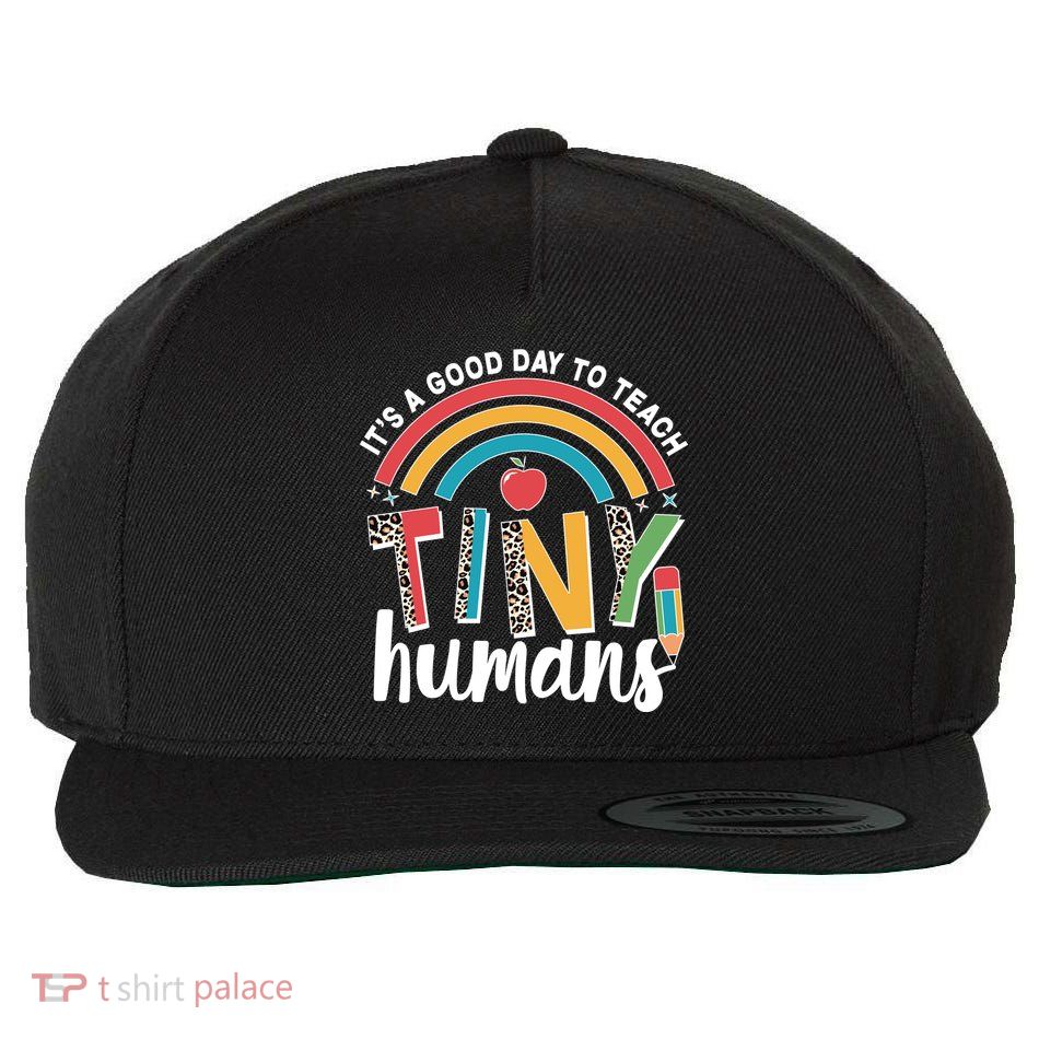 Cute It's A Good Day To Teach Tiny Humans Wool Snapback Cap