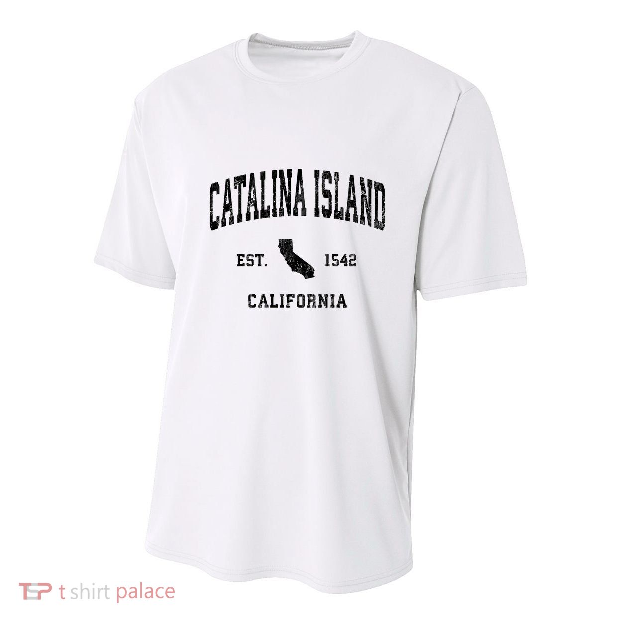 Catalina Island California Ca Vintage Athletic Sports Design Lon Youth Performance Sprint T-Shirt
