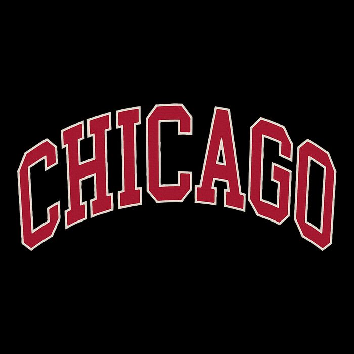 Chicago Illinois City Backpack
