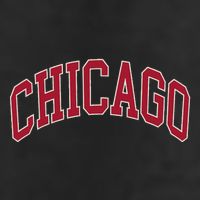 Chicago Illinois Adult Drive Performance Visor