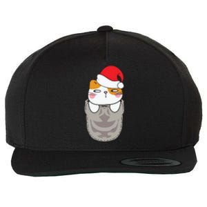 Cats In Christmas Sock Funny Cute Gift Wool Snapback Cap