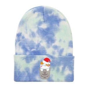 Cats In Christmas Sock Funny Cute Gift Tie Dye 12in Knit Beanie