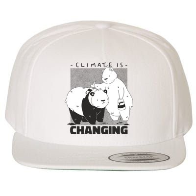 Climate Is Changing Polar Bear Wool Snapback Cap