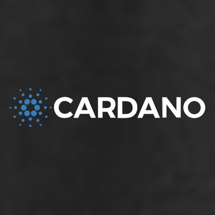 Club Inc. Cardano Ada 25L Jumbo Tote