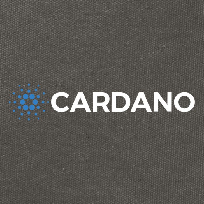 Club Inc. Cardano Ada Cotton Canvas Backpack