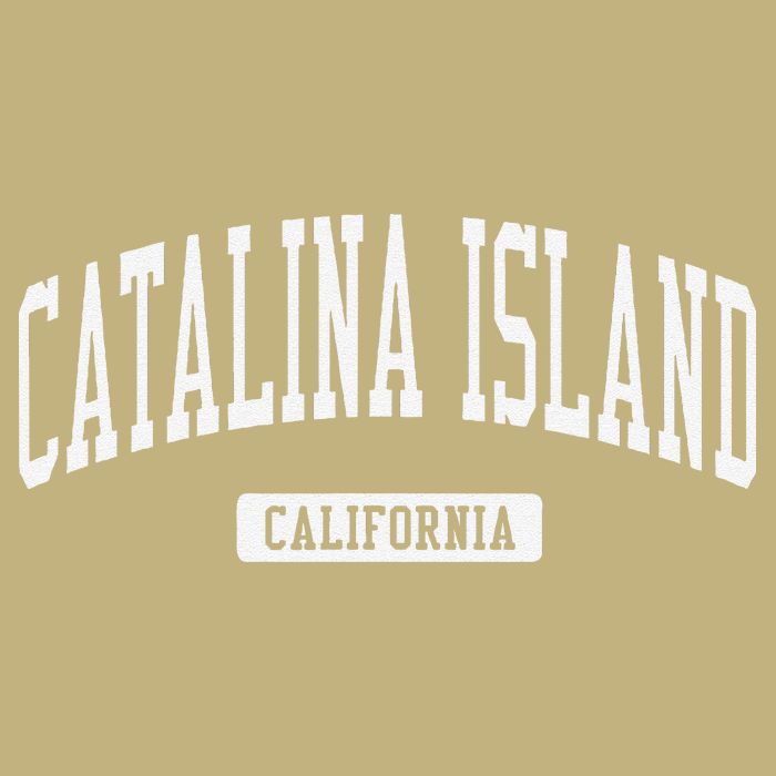 Catalina Island California Ca Vintage Athletic Sports T-Shirt