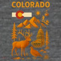 Colorado Iconic Collage Flatbill Hat