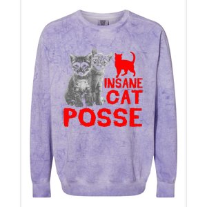 Cat Insane Cat Posse Gift Colorblast Crewneck Sweatshirt