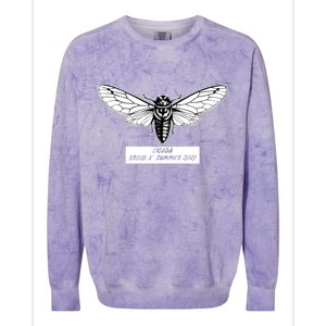 Cicada Brood X Summer 2021 Colorblast Crewneck Sweatshirt