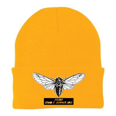 Cicada Brood X Summer 2021 Knit Cap Winter Beanie