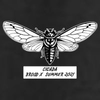 Cicada Brood X Summer 2021 Cool Comfort Performance Bucket Hat
