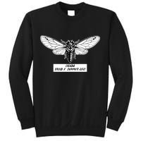 Cicada Brood X Summer 2021 Sweatshirt