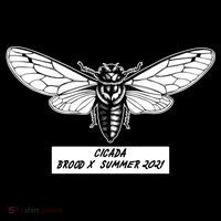 Cicada Brood X Summer 2021 Button