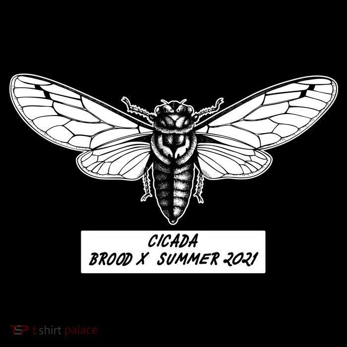 Cicada Brood X Summer 2021 Button