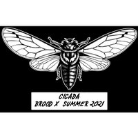 Cicada Brood X Summer 2021 Bumper Sticker