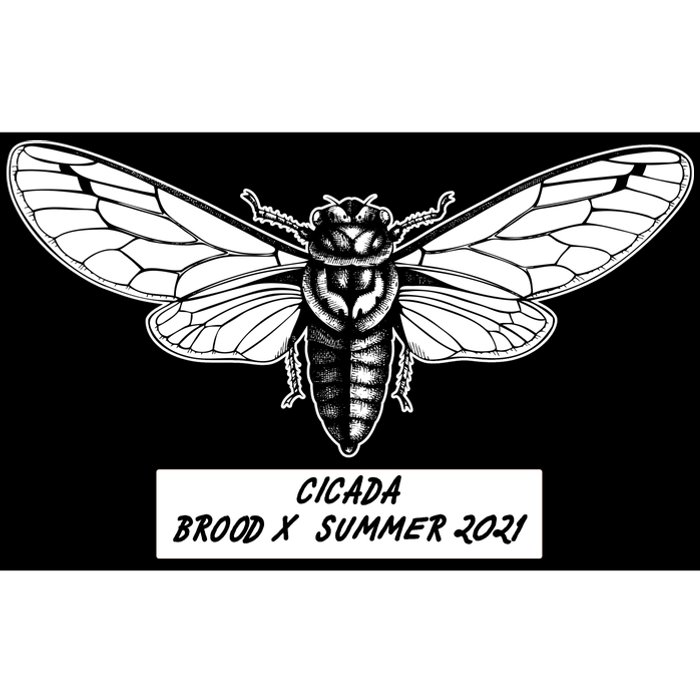 Cicada Brood X Summer 2021 Bumper Sticker