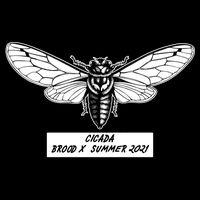 Cicada Brood X Summer 2021 Drawstring Bag