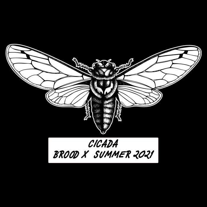 Cicada Brood X Summer 2021 Drawstring Bag