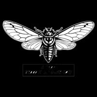 Cicada Brood X Summer 2021 16oz Travel Tumbler