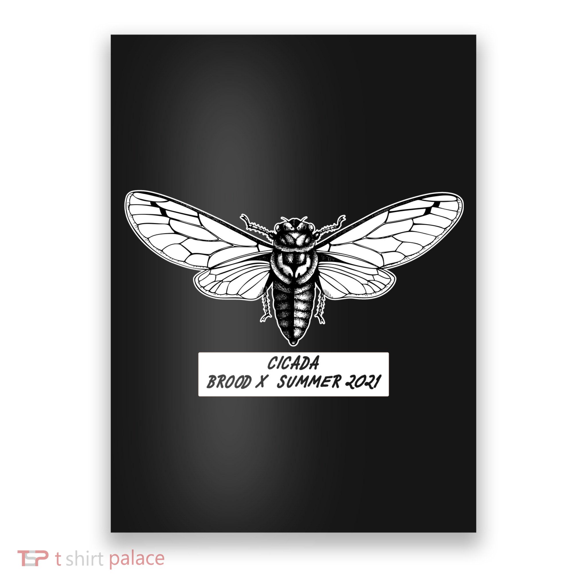 Cicada Brood X Summer 2021 Poster