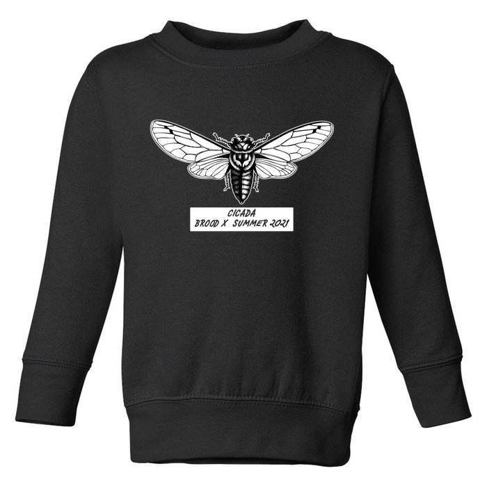 Cicada Brood X Summer 2021 Toddler Sweatshirt