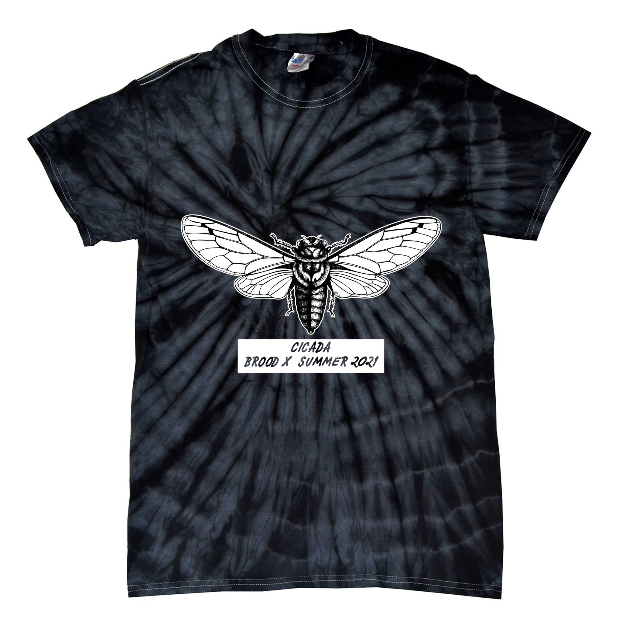 Cicada Brood X Summer 2021 Tie-Dye T-Shirt