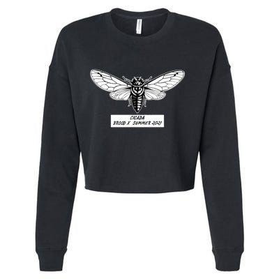 Cicada Brood X Summer 2021 Cropped Pullover Crew