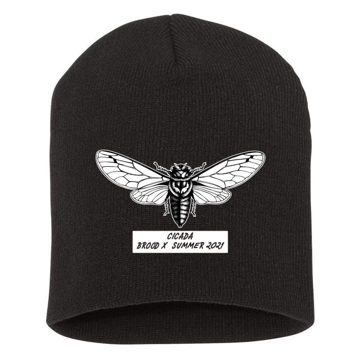 Cicada Brood X Summer 2021 Short Acrylic Beanie