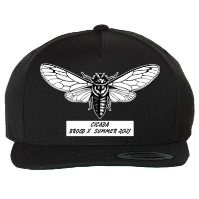 Cicada Brood X Summer 2021 Wool Snapback Cap