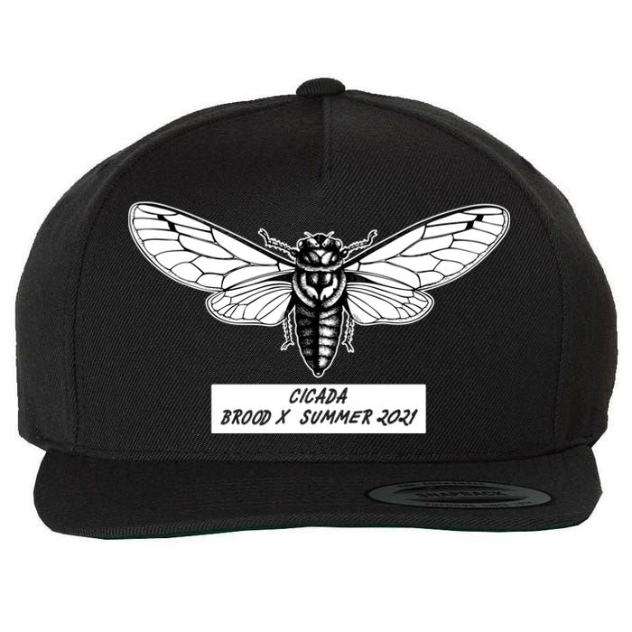 Cicada Brood X Summer 2021 Wool Snapback Cap