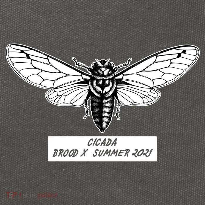 Cicada Brood X Summer 2021 Cotton Canvas Backpack