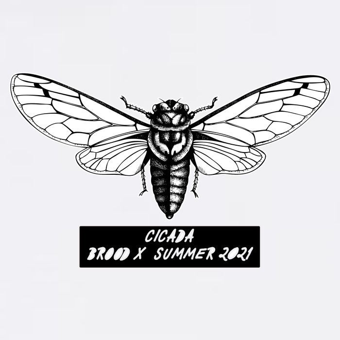 Cicada Brood X Summer 2021 Garment-Dyed Sweatshirt