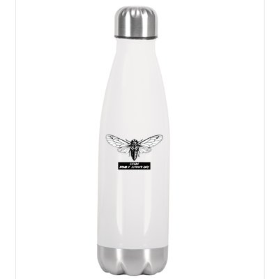 Cicada Brood X Summer 2021 Stainless Steel Insulated Water Bottle