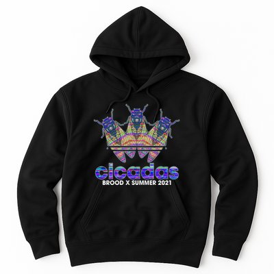 Cicadas Brood X Summer 2021 Sport Logo Hoodie