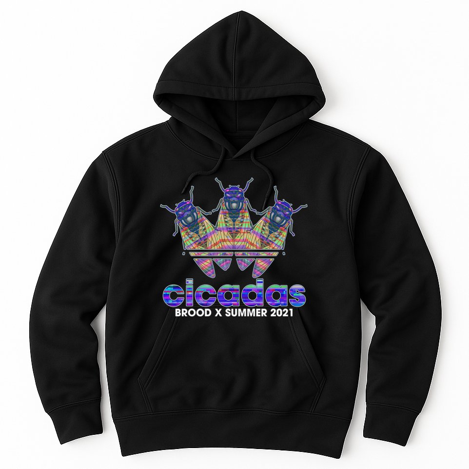 Cicadas Brood X Summer 2021 Sport Logo Hoodie